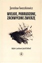 Wielkie pobrudzone zachwycone zwierzę