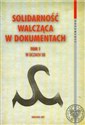 Solidarność walcząca w dokumentach t.1 W oczach SB - Łukasz Kamiński, Wojciech Sawicki, Grzegorz Waligóra