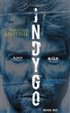 Indygo - Agnieszka Antosik