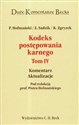 Kodeks postępowania karnego Tom 4 Komentarz Aktualizacje - Piotr Hofmański, Elżbieta Sadzik, Kazimierz Zgryzek