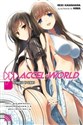 Accel World, Vol. 17 (light novel)