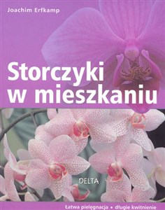 Storczyki w mieszkaniu