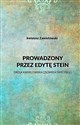 Prowadzony przez Edytę Stein Droga karmelitańska człowieka świeckiego - Ireneusz Zawistowski