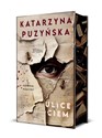 Ulice ciem - Katarzyna Puzyńska