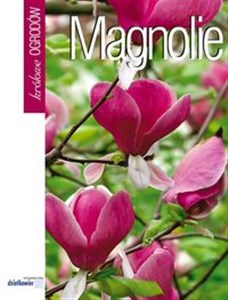 Magnolie