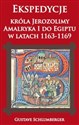 Ekspedycje króla Jerozolimy Amalryka I do Egiptu w latach 1163-1169