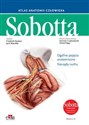 Atlas anatomii człowieka Sobotta. Angielskie mianownictwo. Tom 1. Ogólne pojęcia anatomiczne. Narządy ruchu - F. Paulsen, J. Waschke