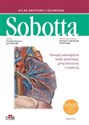 Atlas anatomii człowieka Sobotta Łacińskie mianownictwo. Tom 2 Narządy wewnętrzne klatki piersiowej, jamy brzusznej i miednicy