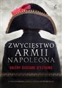 Zwycięstwo armii Napoleona