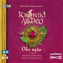 [Audiobook] Kroniki Archeo, cz. 10. Oko Wę