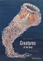 Creatures of the Deep A Pop-up Book - Ernst Haeckel, Maike Biederstaedt