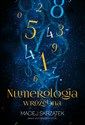 Numerologia wróżebna - Maciej Skrzątek