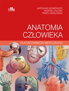 Anatomia człowieka dla ratowników medycznych 