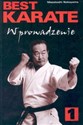 Best karate 1 Wprowadzenie