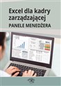 Excel dla kadry zarządzającej Panele menedżera