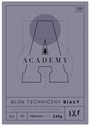 Blok techniczny A4/10K Academy (10szt)  - 