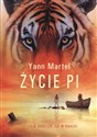 Życie Pi