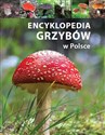 Encyklopedia grzybów w Polsce