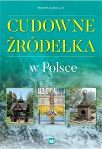 Cudowne źródełka w Polsce - Księgarnia UK