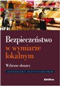 Bezpieczeństwo w wymiarze lokalnym Wybrane obszary