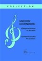 Dźwiękonstrukcje na akordeon solo - Grzegorz Duchnowski
