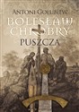 Bolesław Chrobry Puszcza