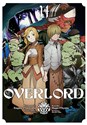 Overlord. Tom 14