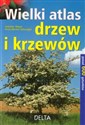 Wielki atlas drzew i krzewów - Joachim Mayer, Heinz-Werner Schwegler