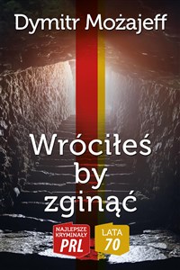 Wróciłeś by zginąć