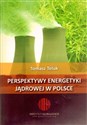 Perspektywy energetyki jądrowej - Tomasz Teluk