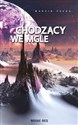 Chodzący we mgle