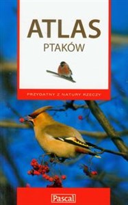Atlas ptaków - Księgarnia UK