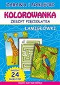 Kolorowanka Zeszyt pięciolatka Łamigłówki