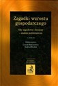 Zagadki wzrostu gospodarczego Siły napędowe i kryzysy - analiza porównawcza