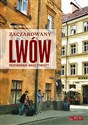 Zaczarowany Lwów Przewodnik nieoczywisty - Marcin Hałaś