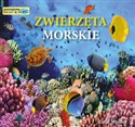 Zwierzęta morskie Poznajemy zwierzęta - Rafał Wejner