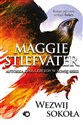 Wezwij sokoła - Maggie Stiefvater