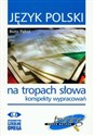 Język polski Na tropach słowa konspekty wypracowań Trening przed matura - Beata Piękoś