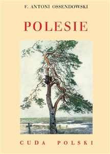 Polesie - Księgarnia UK