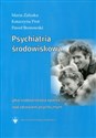 Psychiatria środowiskowa jako środowiskowa opieka nad zdrowiem psychicznym