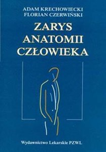 Zarys anatomii człowieka