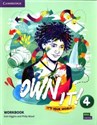 Own it! 4 Workbook - Eoin Higgins, Philip Wood