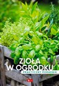 Zioła w ogródku Poradnik praktyczny - Opracowanie Zbiorowe