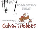 Calvin i Hobbes Tom 9 To magiczny świat