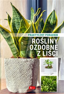 Rośliny ozdobne z liści Poradnik praktyczny