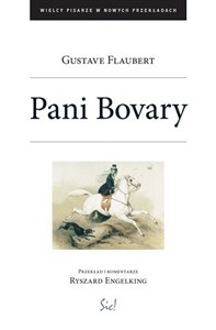 Pani Bovary - Księgarnia Niemcy (DE)