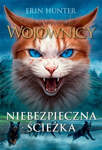 Niebezpieczna ścieżka Wojownicy, Tom V