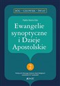 Ewangelie synoptyczne i Dzieje Apostolskie 2 - Pablo Maria Edo