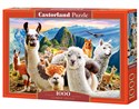 Puzzle Llamas Selfie 1000 C-104758-2 - 