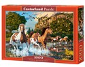 Puzzle Horse Wonderland 1000 C-104789-2 - 